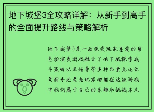 地下城堡3全攻略详解：从新手到高手的全面提升路线与策略解析