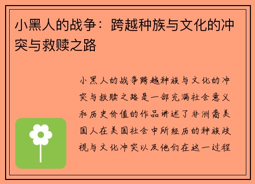 小黑人的战争：跨越种族与文化的冲突与救赎之路